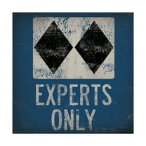Trademark Fine Art 'Experts Only Blue' Canvas Art by Ryan Fowler