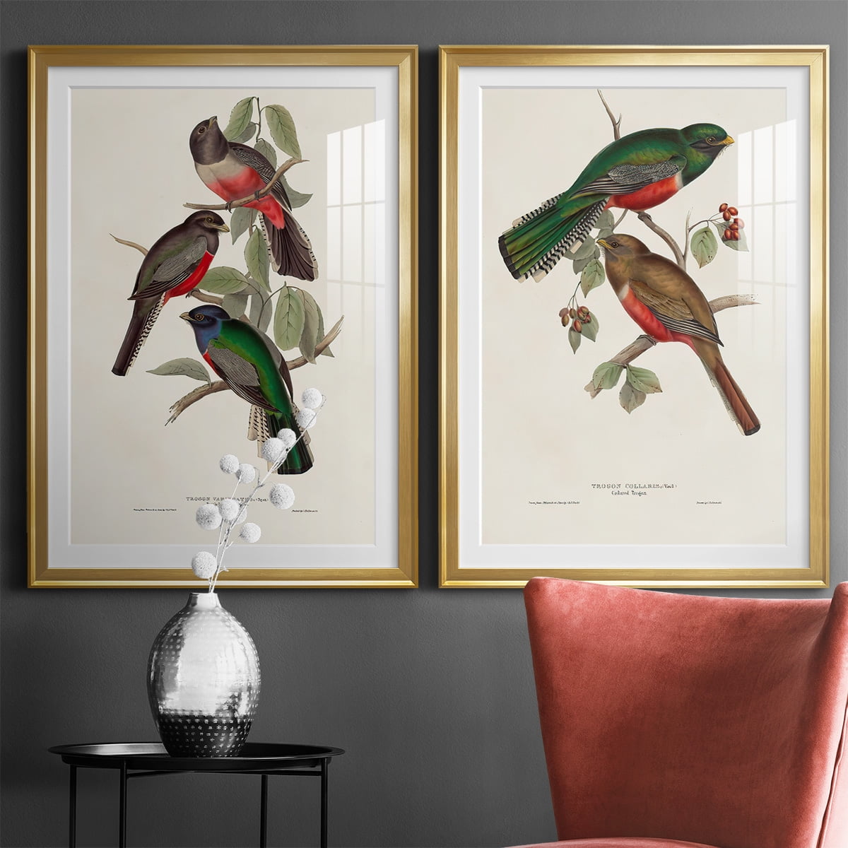 Wexford Home Elegant Trogons V Premium Framed Print, 18.5" x 24.5" - Ready to Hang, Gold (Set of 2)