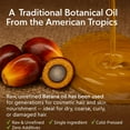 thumbnail image 5 of Batana Oil Promotes Hair Growth, 100% Pure & Natural, 4 floz, 5 of 20