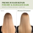thumbnail image 3 of TS Brass Sulfate-Free, Thickening Hair Loss & Regrowth Treatment for 16.9 fl oz, 3 of 7