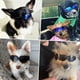 thumbnail image 5 of Gafas de sol para perros pequeños, gafas UV para mascotas, gafas de viento y nieve para perros, color negro brillante ER, 5 of 5