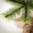 thumbnail image 2 of 36.5"H Sullivans Emerald Pine Tree In Burlap, Green, 2 of 3