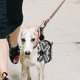 thumbnail image 4 of unbranded De Bolsas Para Desechos De Perro Con Gancho Para Material Transpirable Multi, 4 of 6