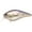 MS American Shad, variant on Lucky Craft LC Silent 1.5 Squarebill Crankbaits