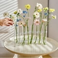 thumbnail image 7 of 8PCS Test Tube Vases Decorative Glass Flower Vase Hinged Flower Vases Planter Flower Arranging Container Hydroponic Flower Holder Decor with 15PCS Hooks and 2PCS Brushes (VASES-B), 7 of 7