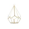 WGV Gold Tear Drop Geometric Terrarium - 5.5" Wide x 8" Height, Good quality Terrarium - 1 Pc