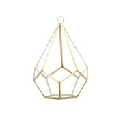 WGV Gold Tear Drop Geometric Terrarium - 5.5" Wide x 8" Height, Good quality Terrarium - 1 Pc