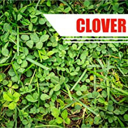 Pulverize Weed Killer Spray for Lawns - Safe on Grass - Fast Acting, Weed Killer -2.5 Gallon Concentrate