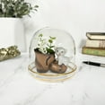 thumbnail image 2 of Plymor 4" x 4" Glass Display Dome Cloche with Gold Rim (Gold Rim Glass Tray Base), Pack of 12, 2 of 3