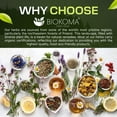 thumbnail image 5 of Biokoma Pure and Organic Knotgrass Dried Herb 50g (1.76oz) in Resealable Pack Moisture Proof Pouch, USDA Certified Organic - Herbal Tea, No Additives, No Preservatives, No GMO, Kosher, 5 of 8