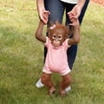 thumbnail image 3 of Muñeca Hugging Monkey The Ashton-Drake Galleries Annabelle, 22 pulgadas, 3 of 6
