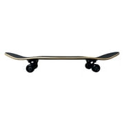 Blank Complete Skateboard Stained Black 7.75
