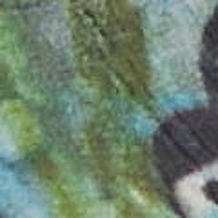 Spring Step L'Artiste Women's Evesgarden Wedge Sandal