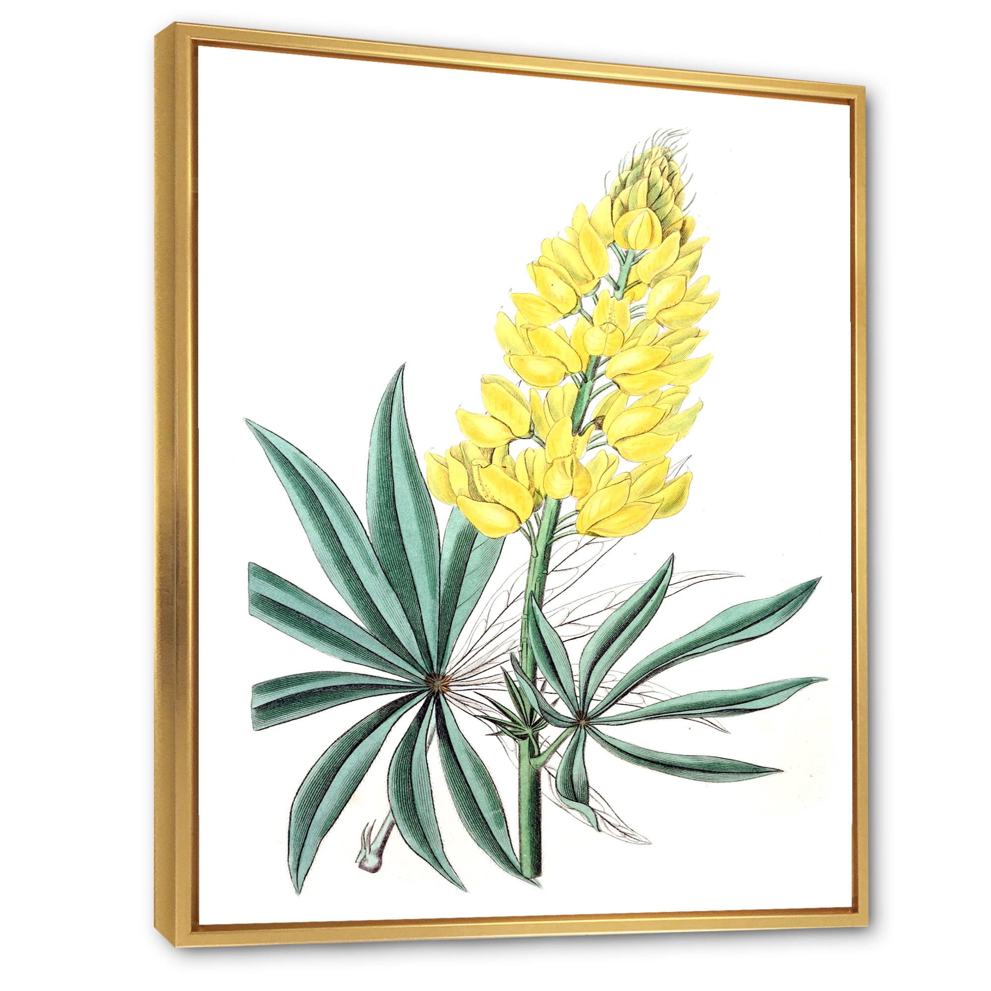 Designart 'Ancient Yellow Flower I' Traditional Framed Canvas Wall Art Print