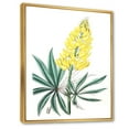 thumbnail image 3 of Designart 'Ancient Yellow Flower I' Traditional Framed Canvas Wall Art Print, 3 of 5