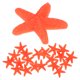 thumbnail image 1 of Paquete de 20 decoraciones de estrella de mar, decoración de mini estrella de mar de PVC de 0.9" para acuario/decoración de pecera/playa [Naranja], 1 of 6