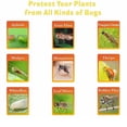 thumbnail image 4 of LINKPAL 48 Pack Sticky Fruit Fly Trap and Fungus Gnat Traps Killer for Indoor and Outdoor, Protect the Plant, Non-Toxic and Odorless, 4 of 5