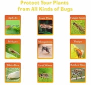 LINKPAL 48 Pack Sticky Fruit Fly Trap and Fungus Gnat Traps Killer for Indoor and Outdoor, Protect the Plant, Non-Toxic and Odorless