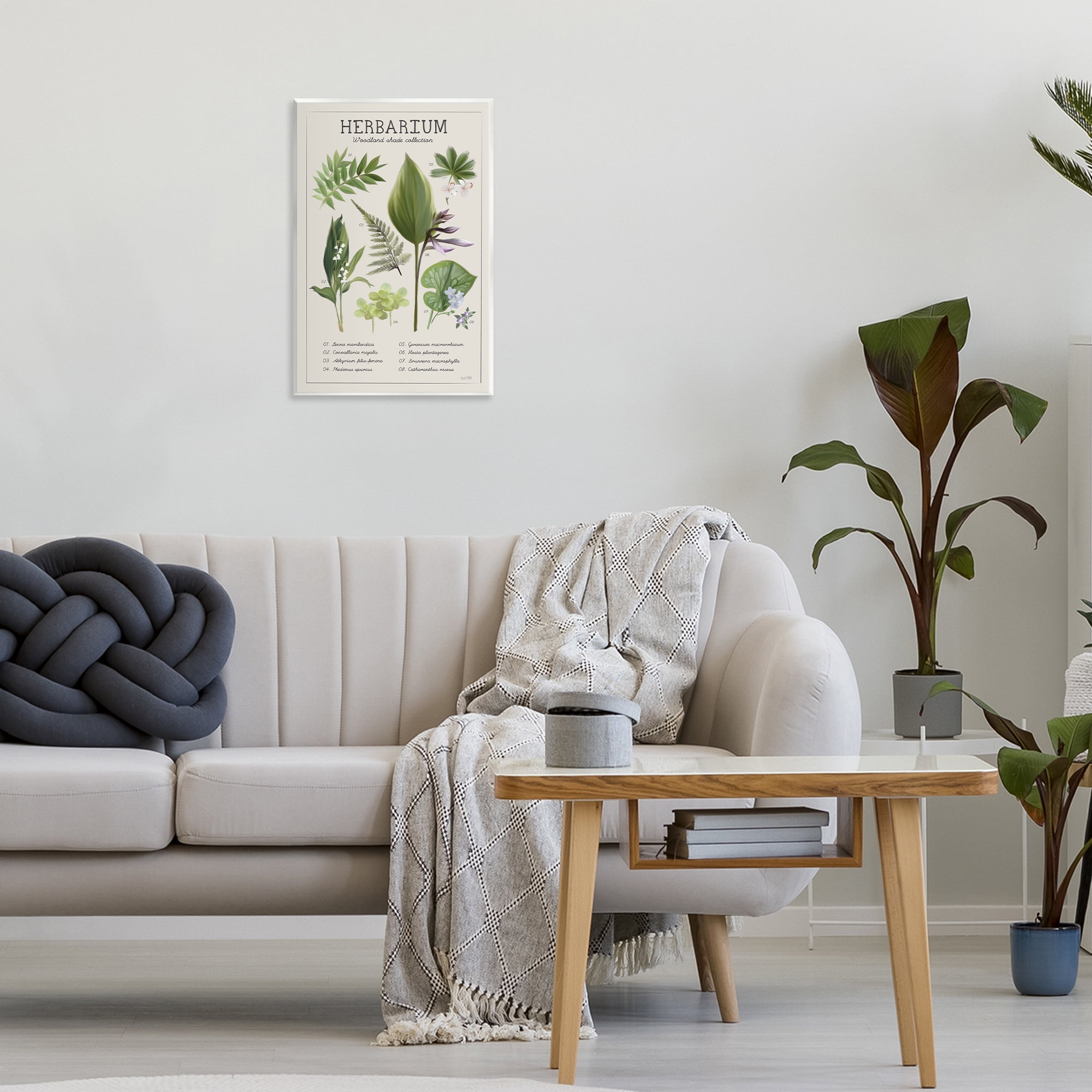 Stupell Industries Herbarium Woodland Shade Collection Wall Plaque Art, design by House Fenway