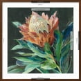 thumbnail image 5 of Art.com Deep Protea Crop Art Print by Danhui Nai, Brown Frame Wall Art, 29" x 29", 5 of 5