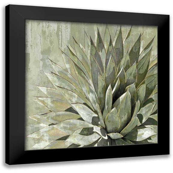 Benson, Lindsay 12x12 Black Modern Framed Museum Art Print Titled - Succulent Verde I