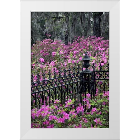 Jones, Adam 11x14 White Modern Wood Framed Museum Art Print Titled - Iron fence and azaleas in full bloom-Bonaventure Cemetery-Savannah-Georgia