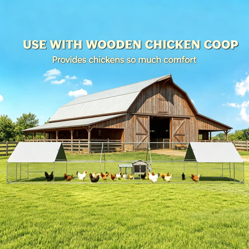 Chicken Coop