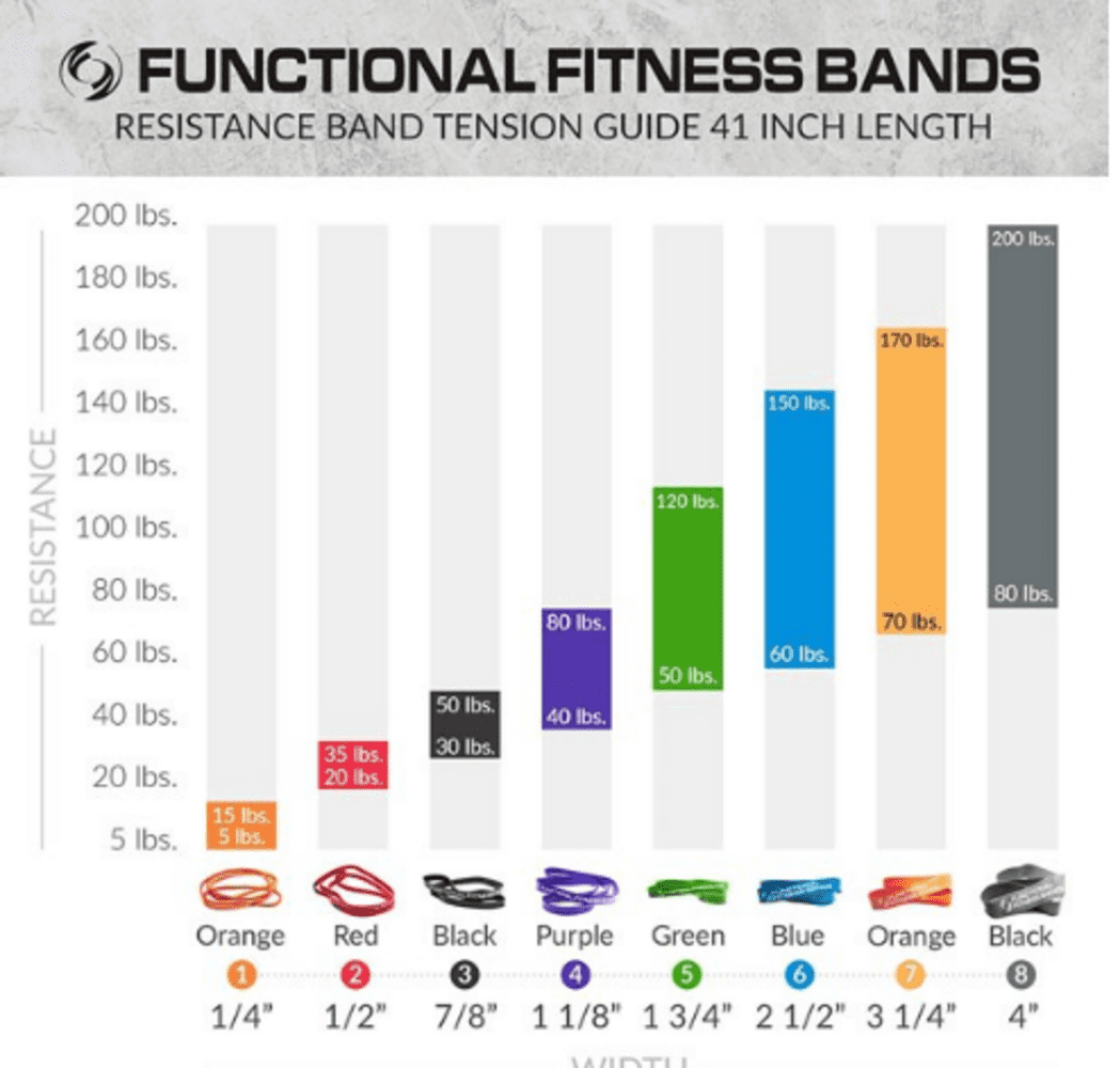 Functional Fitness Bands - Resistance and Workout Bands, Pull Up Assistance & Exercise Bands