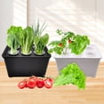 thumbnail image 3 of Hydroponic Grow Box 6-Hole Planting System Home Herb Planter Vegetable Cultivation Kit for Indoor Gardening, 3 of 8
