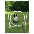 thumbnail image 2 of Dog Jump - Practice Tire/Hoop Jump - PVC Material - 29 Inch Diameter, 2 of 2
