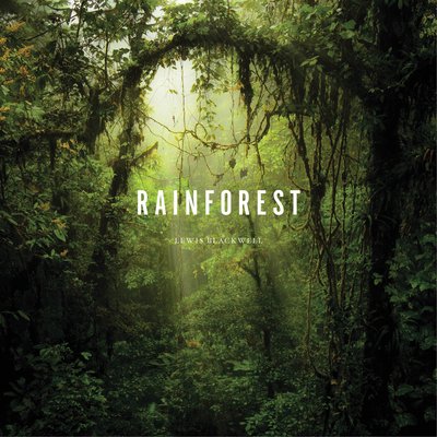 Pre-Owned Rainforest (Hardcover) 1419713973 9781419713972