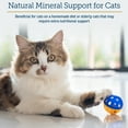 thumbnail image 2 of Rx Vitamins Feline Minerals - Taurine for Cats for Cat Heart Health - Calcium for Cat Joint Supplement - Immune Support for Cats with Magnesium & Potassium - Cat Skin and Coat Supplement - 8oz, 2 of 8
