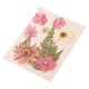 thumbnail image 1 of Flores Secas para Resina, Kit de Flores Secas Y en Relieve 13x9cm para Velas Artesanías Diy Joyería Decoración Del Hogar, Kits de Artesanía de Navidad para Moldes de Resina Fabricación de Velas, 1 of 1