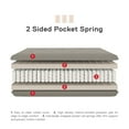 thumbnail image 3 of Signature Sleep Trule 8-Inch Pocket Coil Futon Mattress, Polyester Linen, Full, 3 of 6