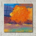 thumbnail image 4 of Epic Art 'Orange Maple' by Mike Kelly, Acrylic Glass Wall Art, 12"x12", 4 of 8