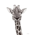 thumbnail image 3 of Nieman, Rachel 15x18 Black Modern Framed Museum Art Print Titled - Safari Giraffe Peek-a-boo, 3 of 5