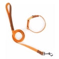 thumbnail image 1 of Collar Con Correa Para Perro Chico Y Mediano, 1 of 7