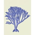 thumbnail image 2 of Fab Funky 20x24 White Modern Wood Framed Museum Art Print Titled - Blue Corals c, 2 of 4