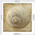 thumbnail image 5 of Art.com Sepia Shell VI Art Print by Judy Stalus, White Frame Wall Art, 29" x 29", 5 of 5