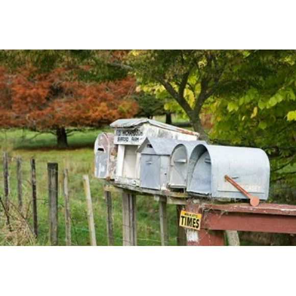 Letterboxes, King Country, North Island, New Zealand Poster Print by David Wall (34 x 23)