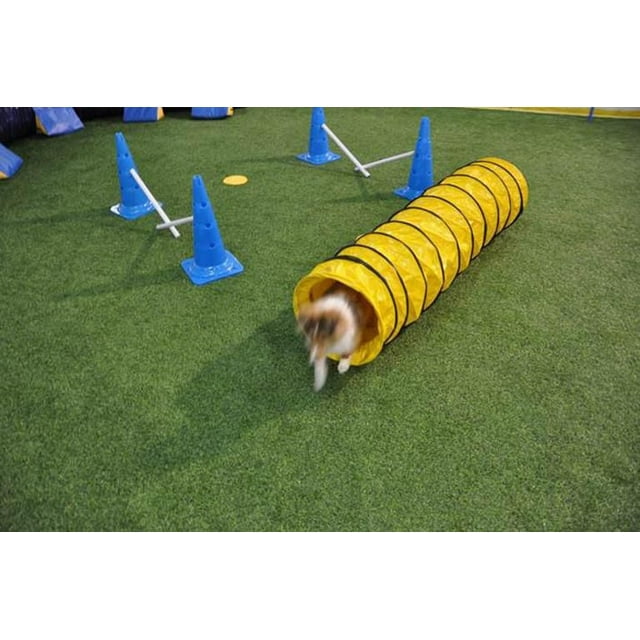 Cool Runners Ensemble de Gym pour Chiot