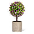 thumbnail image 1 of Ensemble de 1 Topiaire Floral en Pot, 1 of 1