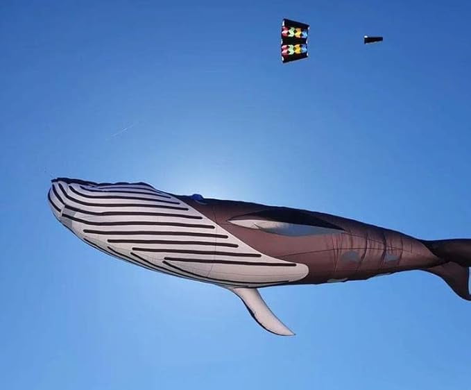 17M Kites Professional Giant Kites for Adults Whale Kite