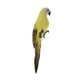 thumbnail image 1 of Figura decorativa de loro en miniatura, modelo de animal, para bodas do, 1 of 7