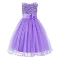thumbnail image 1 of JerrisApparel Robe de Bal en Tulle à Sequins pour Petites Filles (3T, Violet), 1 of 1