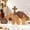 A, variant on 【He is Risen】Empty Tomb Scene Spring Easter Decorations, Jesus Nativity Resurrection Figurines Set With Wooden Cross For Home, Office, Table, Shelf, Mantle Decor – Christian Catholic Religious Gifts