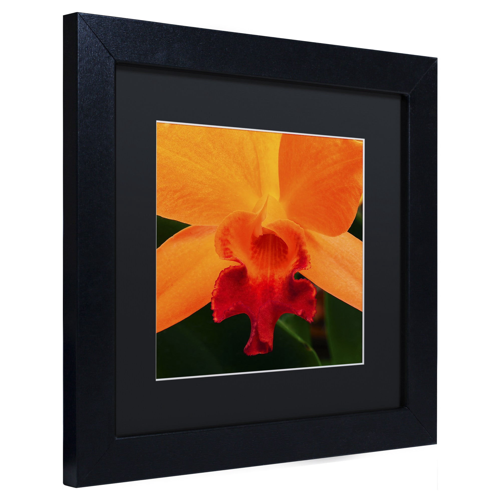 Trademark Fine Art "Brilliant Orchid on Fire" Canvas Art by Kurt Shaffer Black Matte, Black Frame