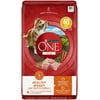 Purina ONE SmartBlend Natural Healthy Weight Formula Adult Dog Food， 40 lb. Bag