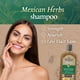 thumbnail image 3 of Shampoo Tio Nacho Mexican Herbs, paquete de 3 unidades, 3 of 6