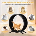 thumbnail image 6 of GTPLAYER 40" Metal Cat Exercise Wheel, Ultra-Quiet Cat Treadmill with Safety Latch for Indoor Cats, Heavy Duty Pet Running Wheel, Dark Black, 6 of 8